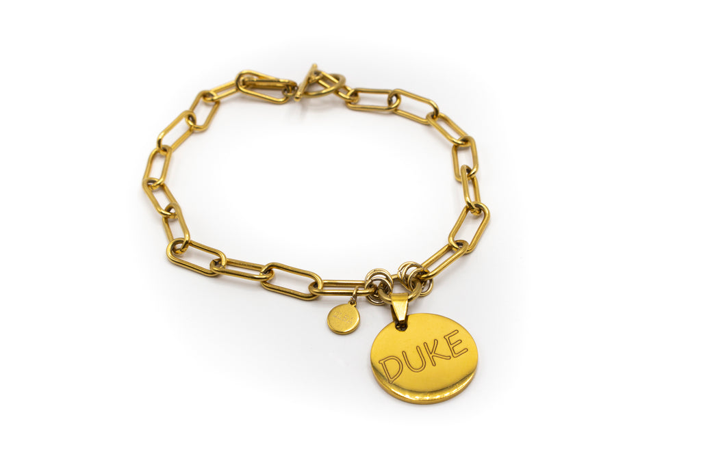 Individuell gestaltbares Haustierhalsband mit Namen, Telefonnummer, Adresse oder was auch immer der Kunde wünscht. Goldfarbener Edelstahl
