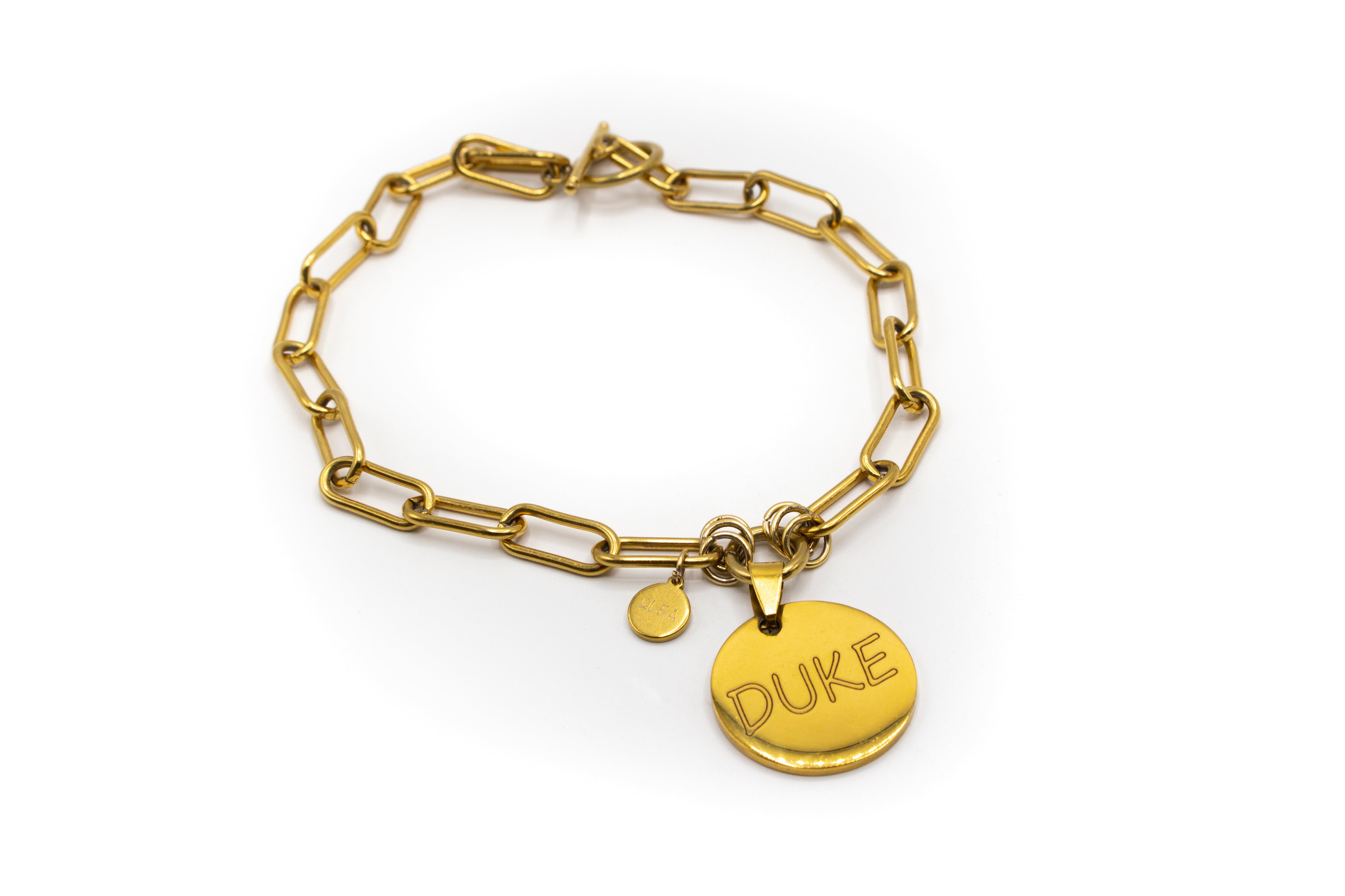 Individuell gestaltbares Haustierhalsband mit Namen, Telefonnummer, Adresse oder was auch immer der Kunde wünscht. Goldfarbener Edelstahl
